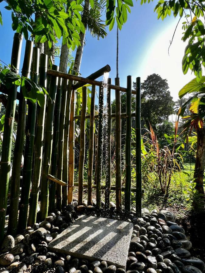 Whispering Wisdom Villa Cahuita Dış mekan fotoğraf