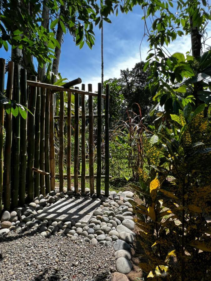 Whispering Wisdom Villa Cahuita Dış mekan fotoğraf